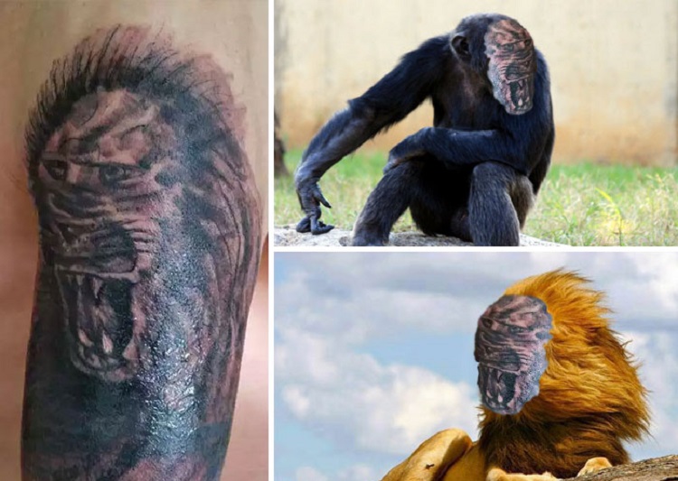 funny-tattoo-fails-face-swaps-comparisons-23-57ad997fbd9e8__700