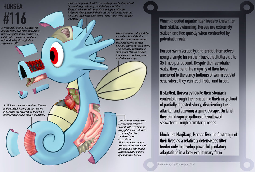 horsea_anatomy__pokedex_entry_by_christopher_stoll-dafuavo