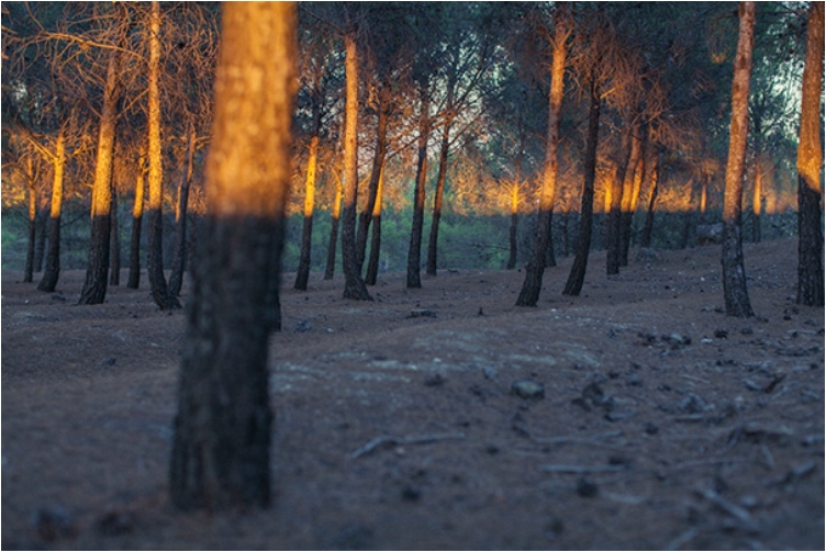 10-sovrsheni-fotografii-koi-kje-go-zadovolat-sekoj-perfekcionist