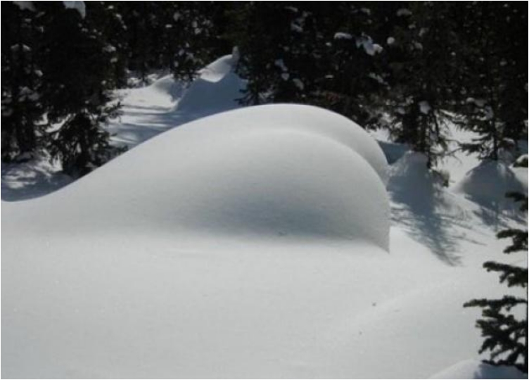 1478978063_1-foto-10