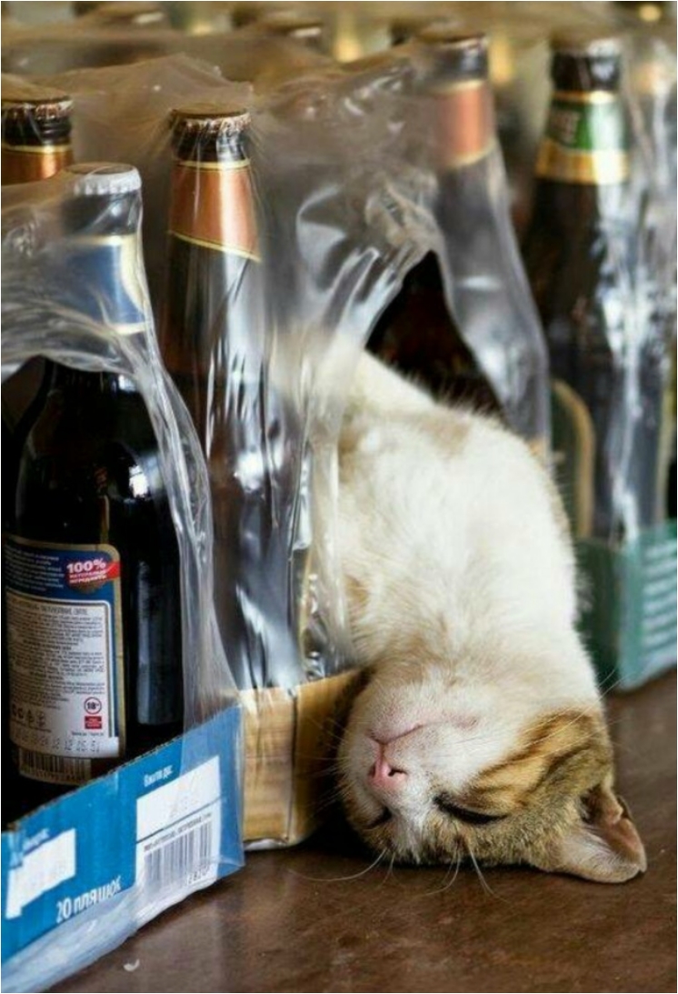 17882515-1012016-1-1475771385-650-35f675171a-1475842446