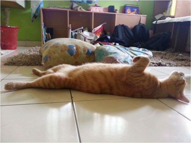 17882665-rn07rez-1475771559-650-77562c3dcf-1475842446