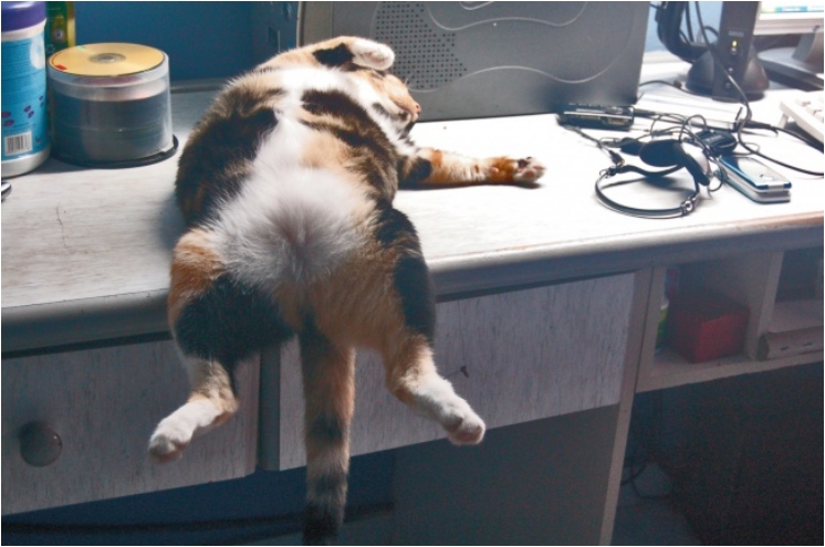 17883465-f899e09c19eae1c28c893703a878d3d2-1475771088-650-bf25d2c44e-1475842446