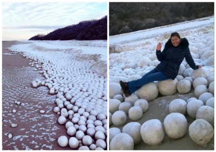 18936465-collage11-1478699044-650-b38fd0c39a-1478863602