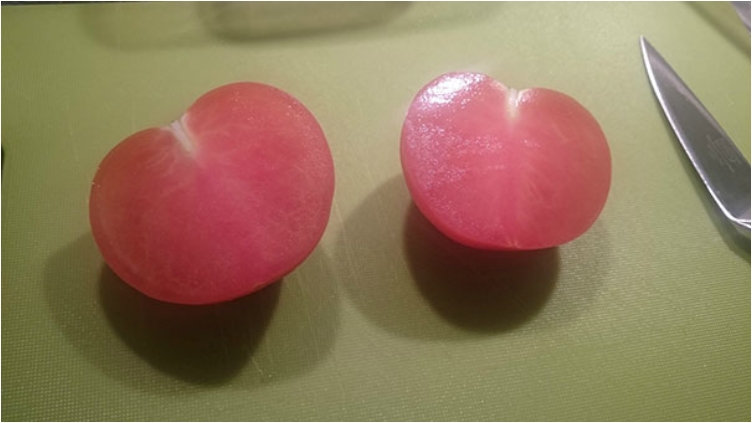 24-sovrsheni-fotografii-koi-kje-go-zadovolat-sekoj-perfekcionist