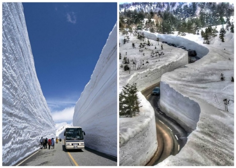 this_proves_that_winter_is_a_magical_time_of_the_year_640_19