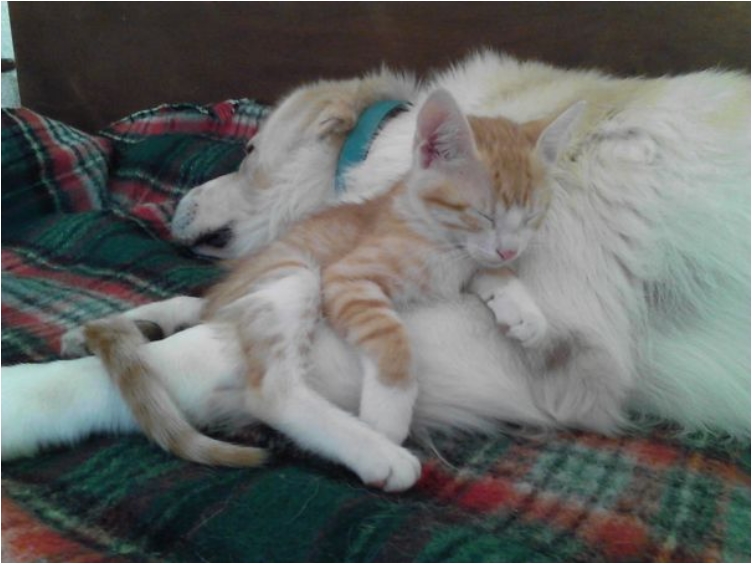 img_20141109_133442__605