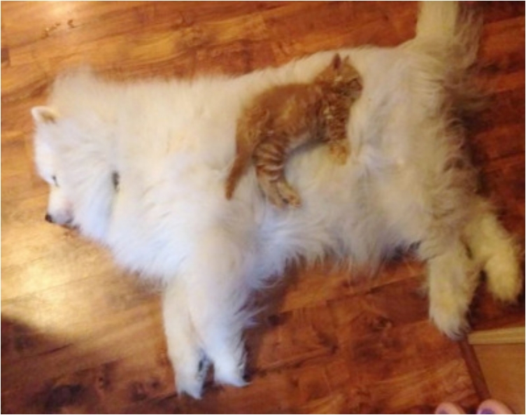 tumblr_ohqawujcs71sknyuxo2_400