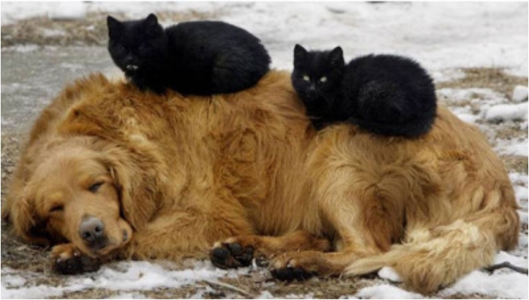 tumblr_ohqawujcs71sknyuxo9_400