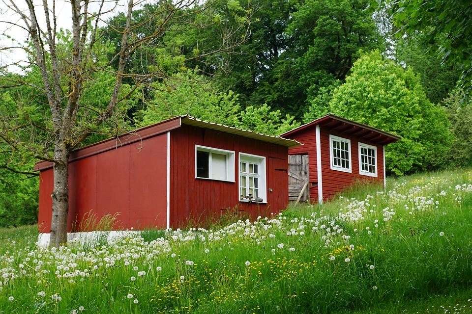 The Advantages and Disadvantages  of Living  in a Tiny  House 
