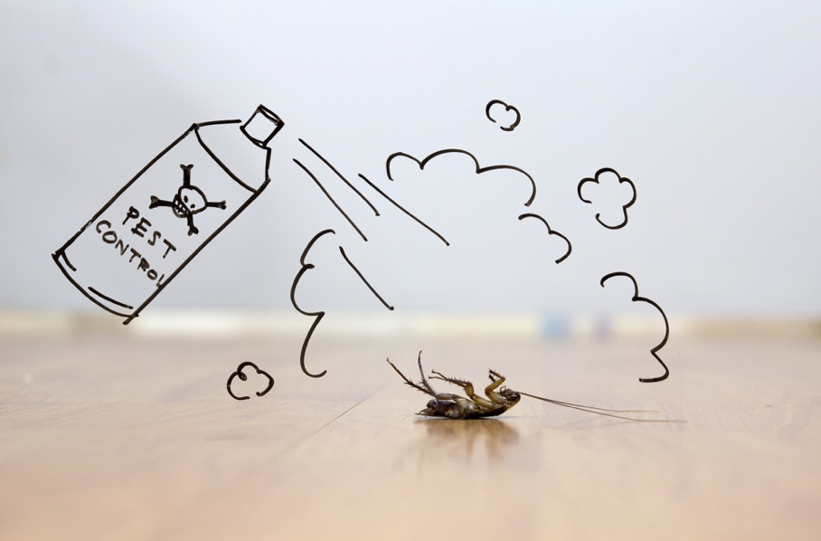 How to Keep Bugs Away A Basic Guide to Home Pest Control