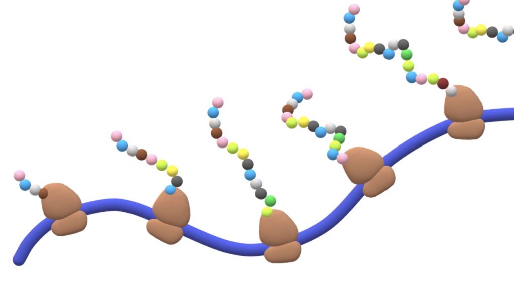 Polypeptides, Blends, and Amino Acids