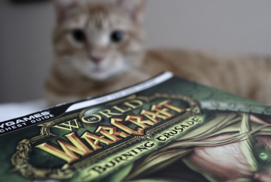 Brilliant Advertising Strategy Or Luck? — Why Is World of Warcraft Still So Popular?