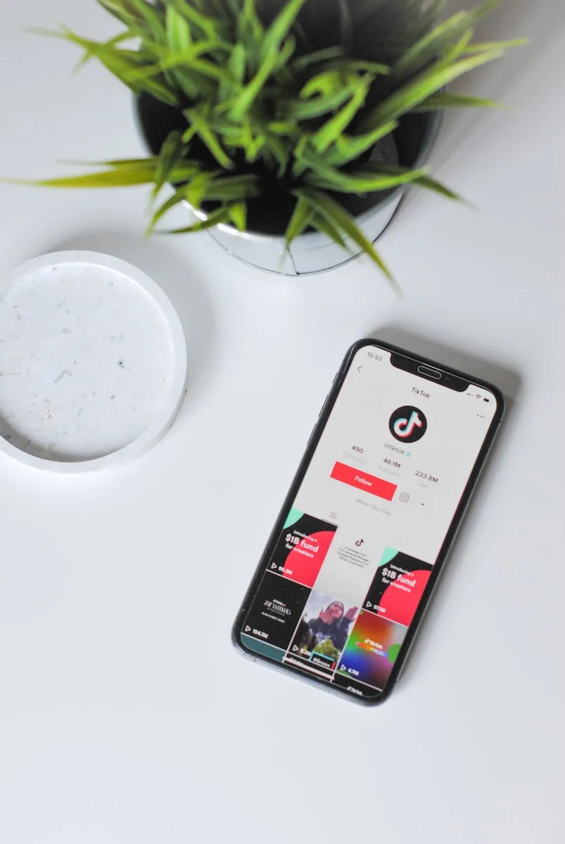 How Much is a TikTok Universe: Valuation and Influence Explained