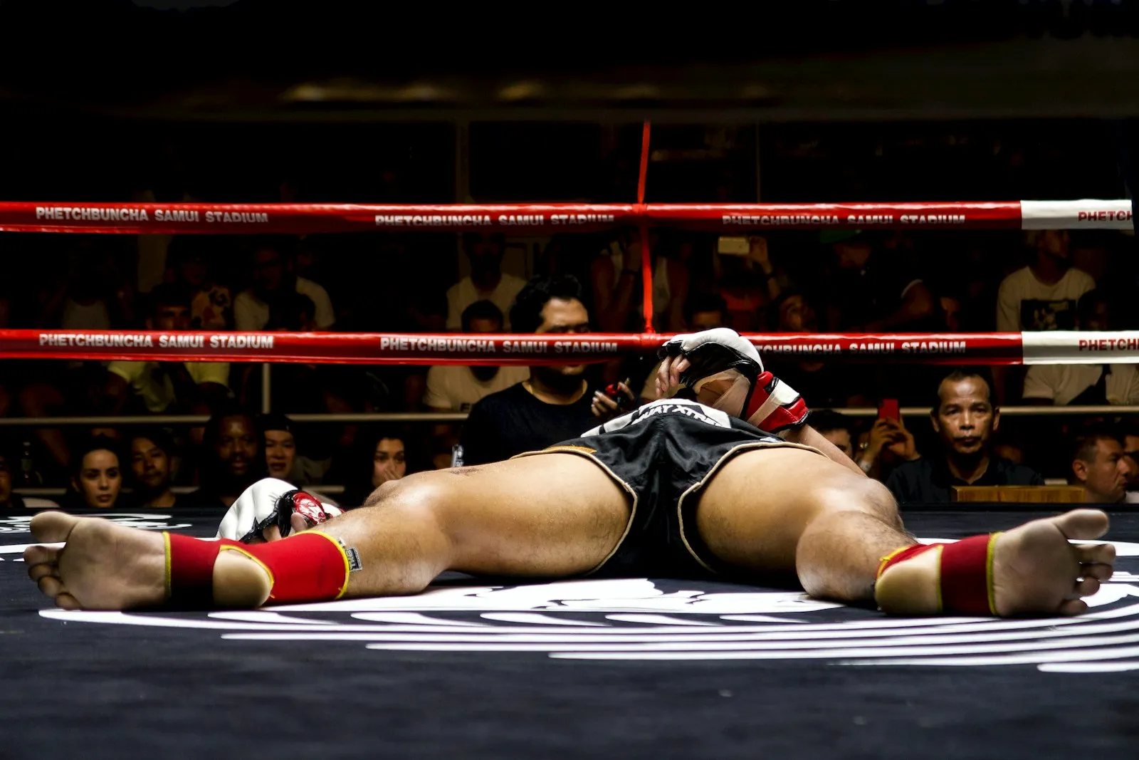 WatchProwrestling Essentials: Your Beginner’s Guide to the Sport