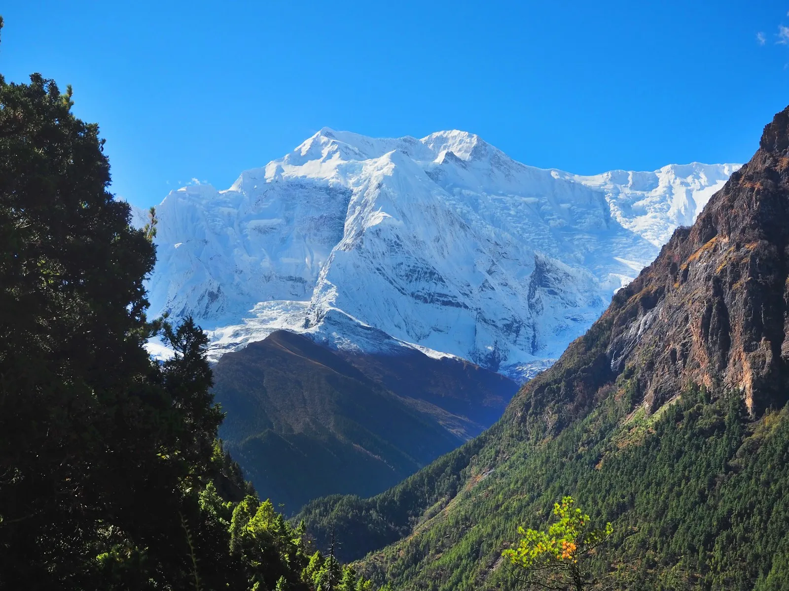 The Top 5 Adventure Trekking Routes in Nepal