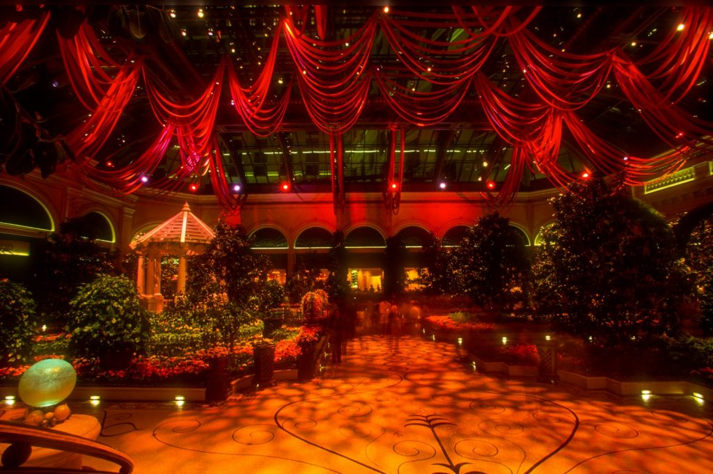 a large room with a lot of plants and lights