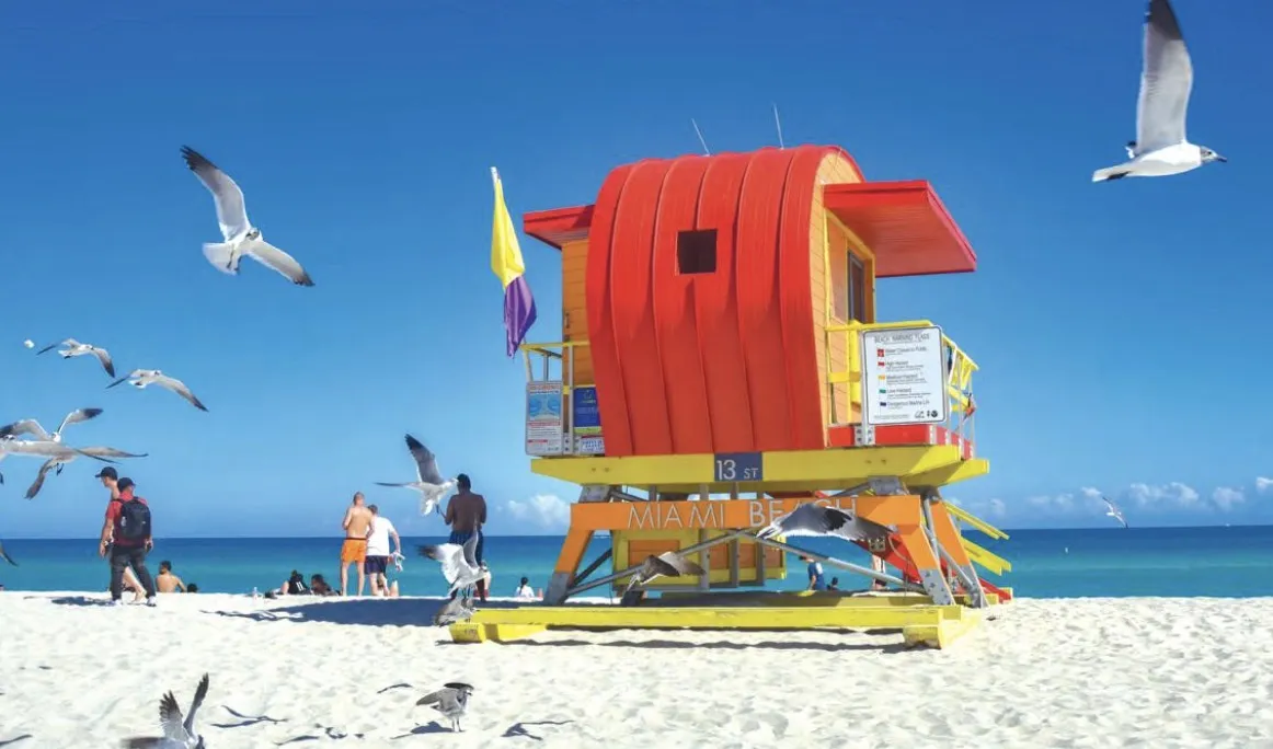 Miami’s Sizzling Shores: Top Beaches for Sun, Sand, and Summer Fun in 2024