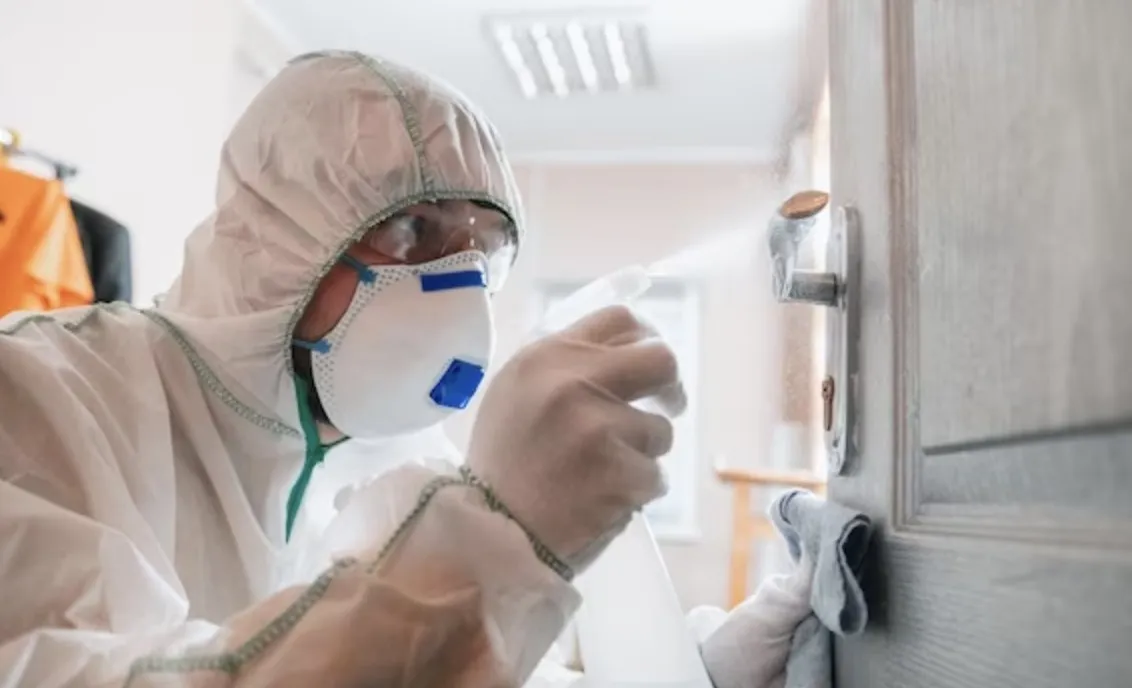 What Role Do Pest Assessments Play in Achieving Effective Pest Treatment?