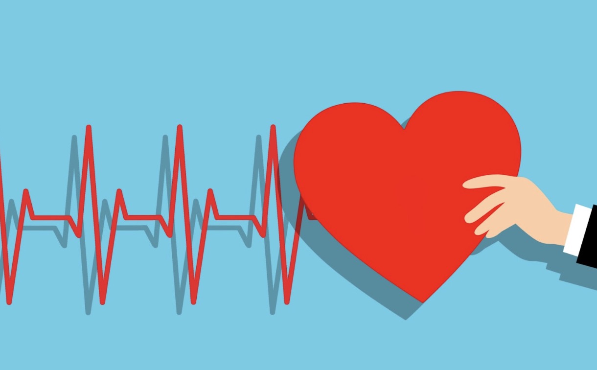 Comprehensive Cardiac Care: Procedures and Treatments