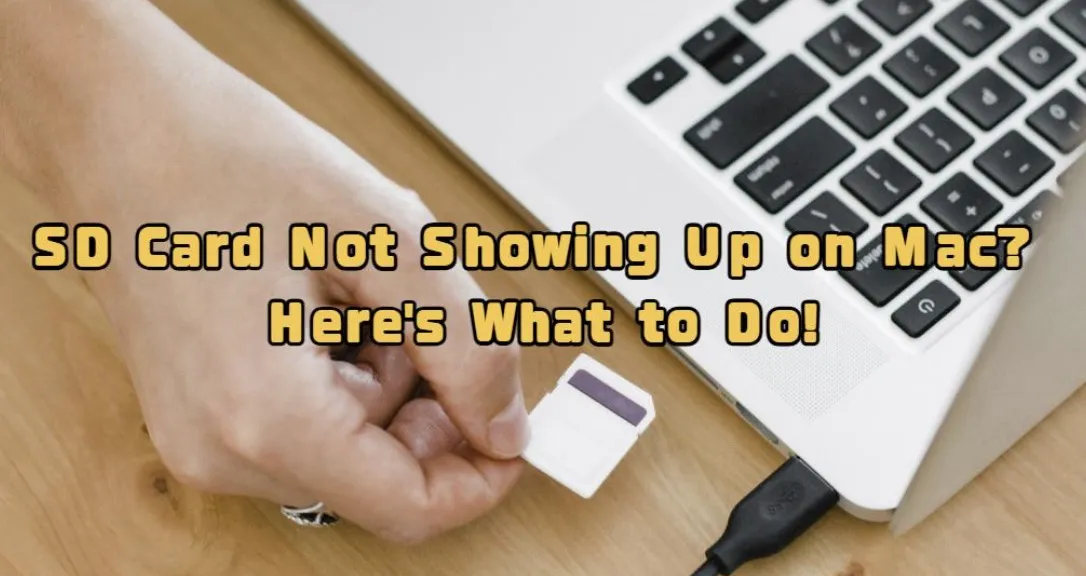 SD Card Not Showing Up on Mac? Here’s What to Do
