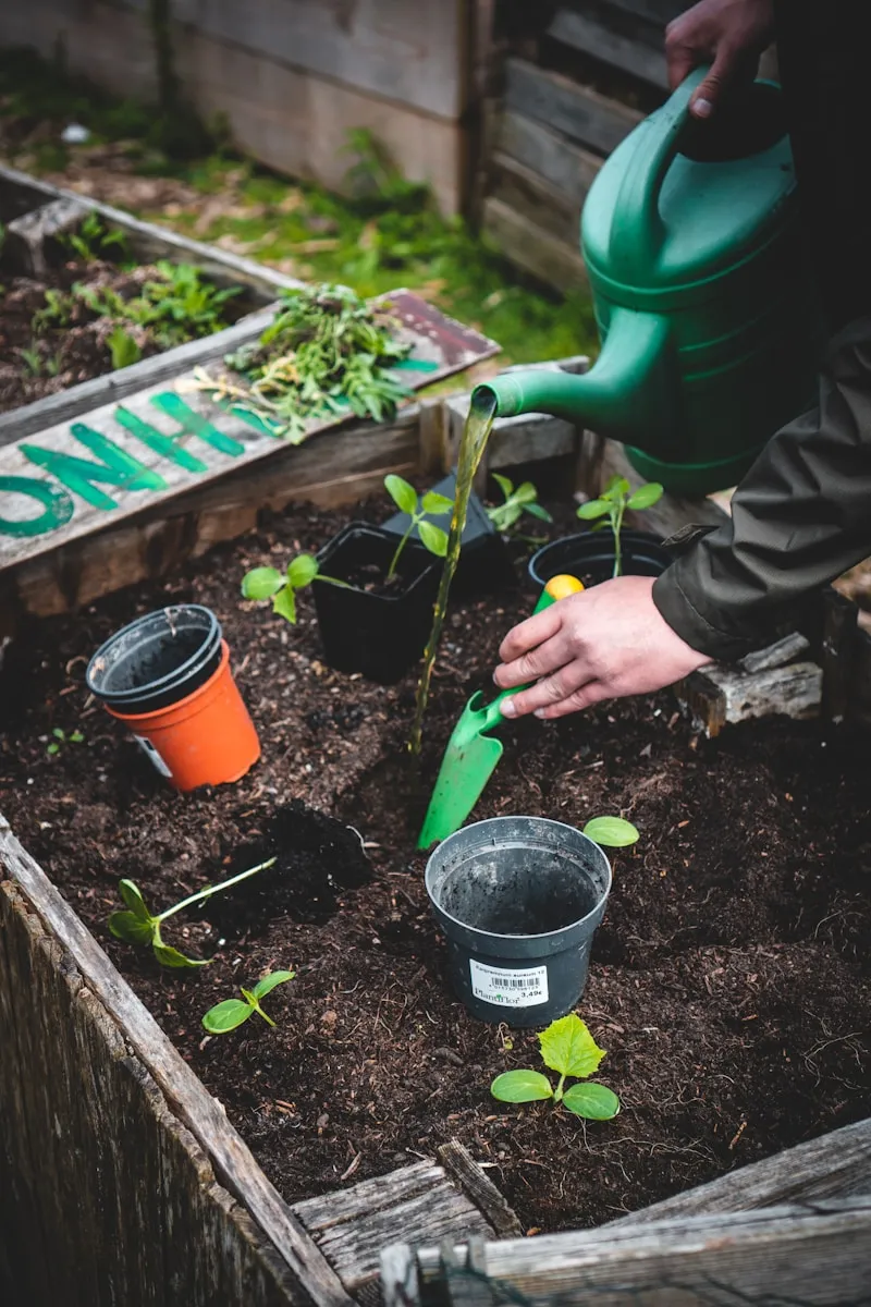 Gardening for Beginners: Everything to Know to Get Started