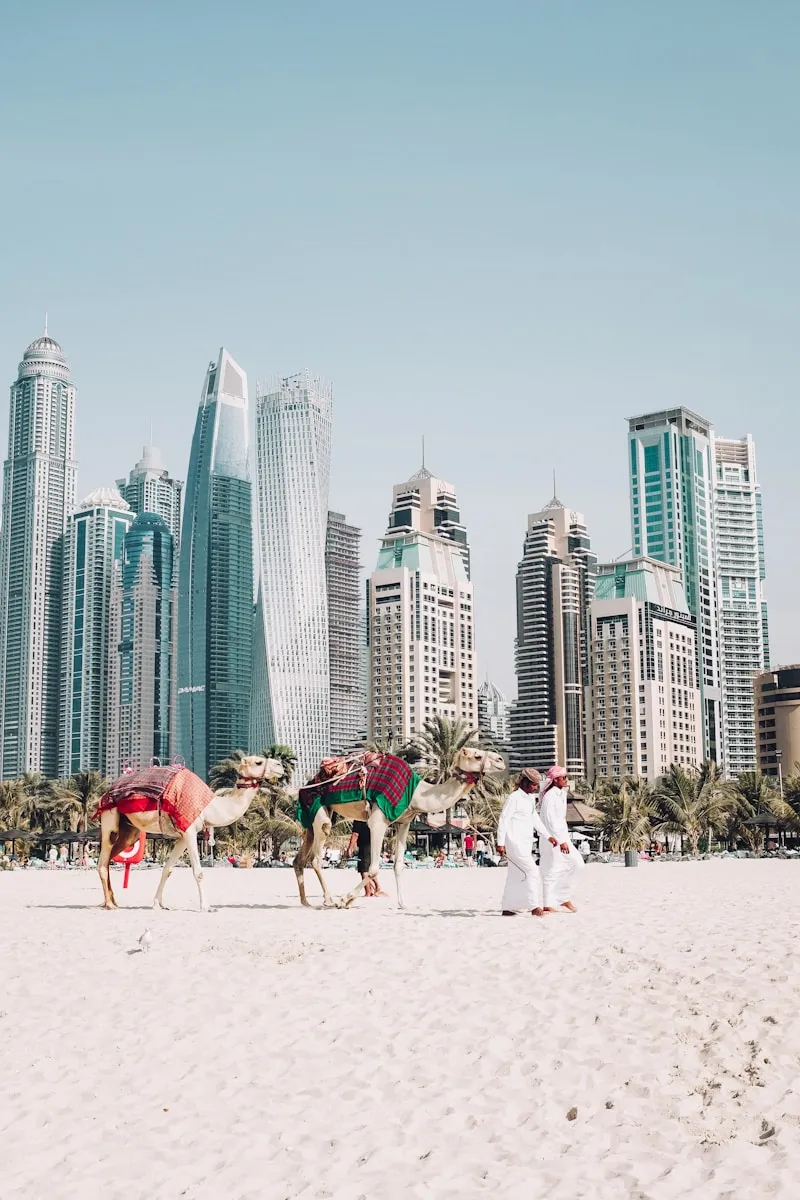 What Are the Best Tips for Renting a Studio Room in Dubai Monthly?