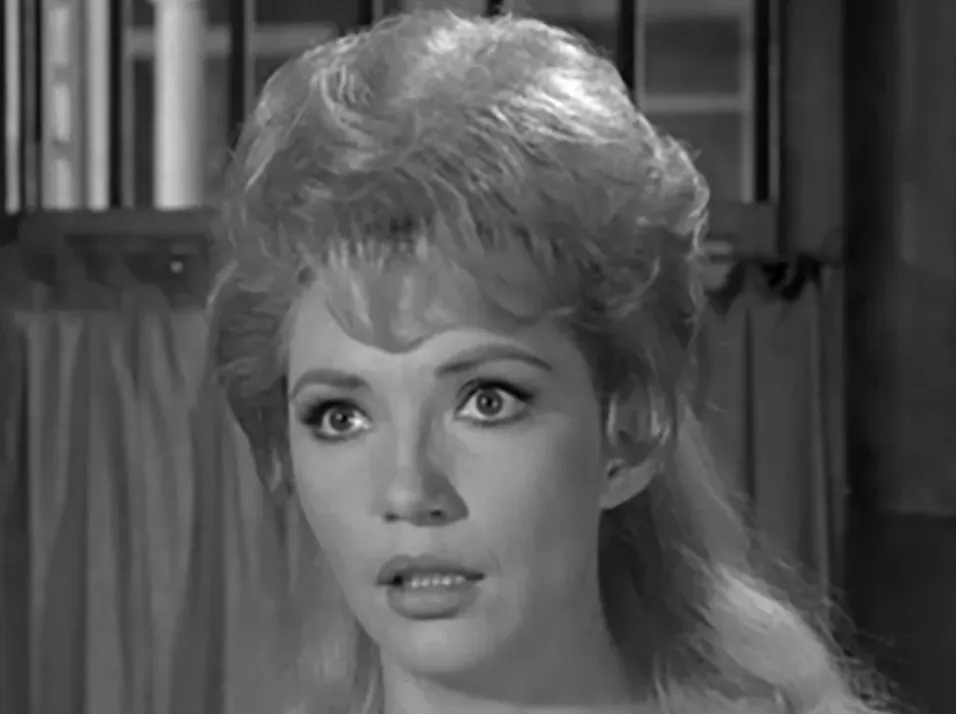 Jenny Lee Arness: A Look into James Arness’ Daughter