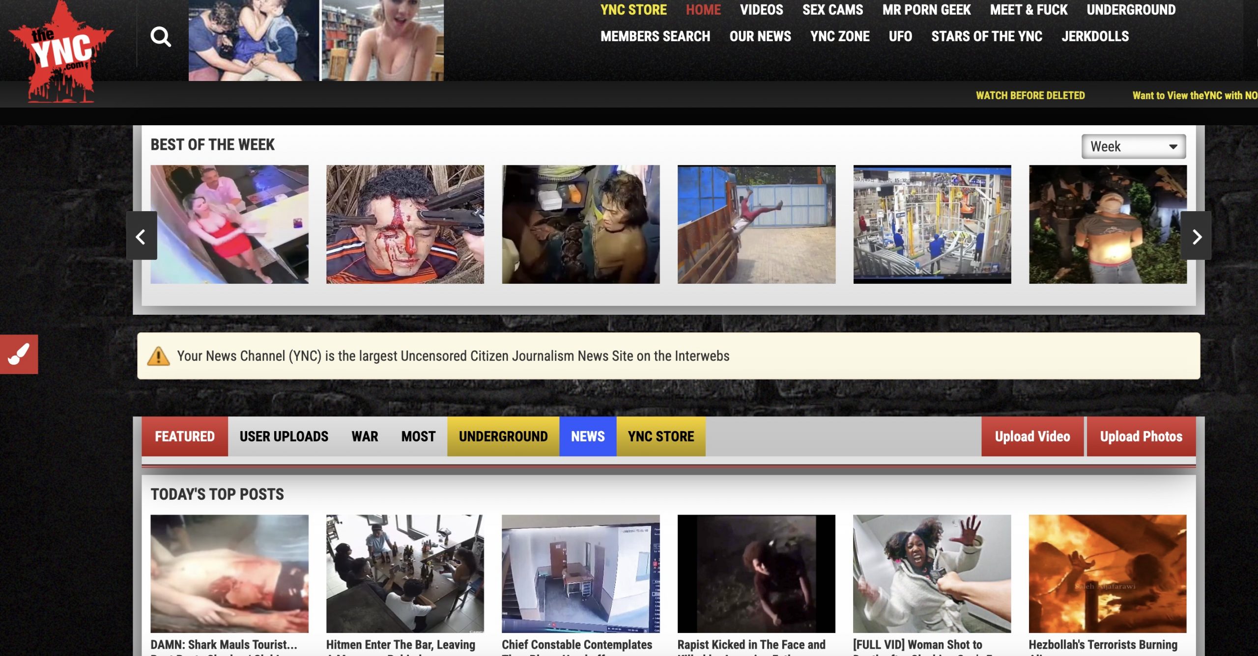 TheYNC: Understanding the Controversial Platform for Shocking Videos