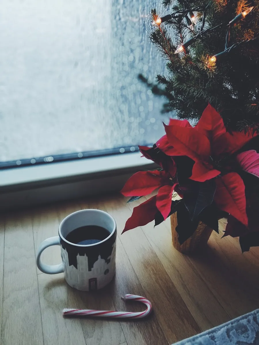 Holiday Tips That Will Make You Feel More in the Spirit