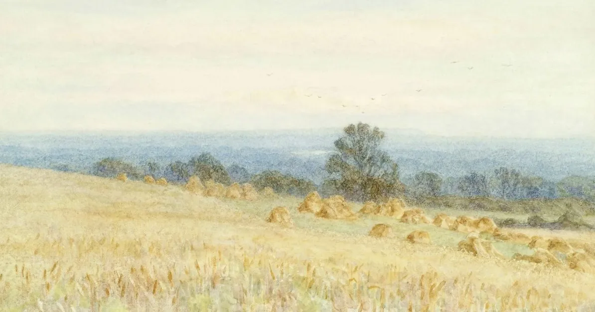 Print purchase: What you should know before buying fine art prints and engravings