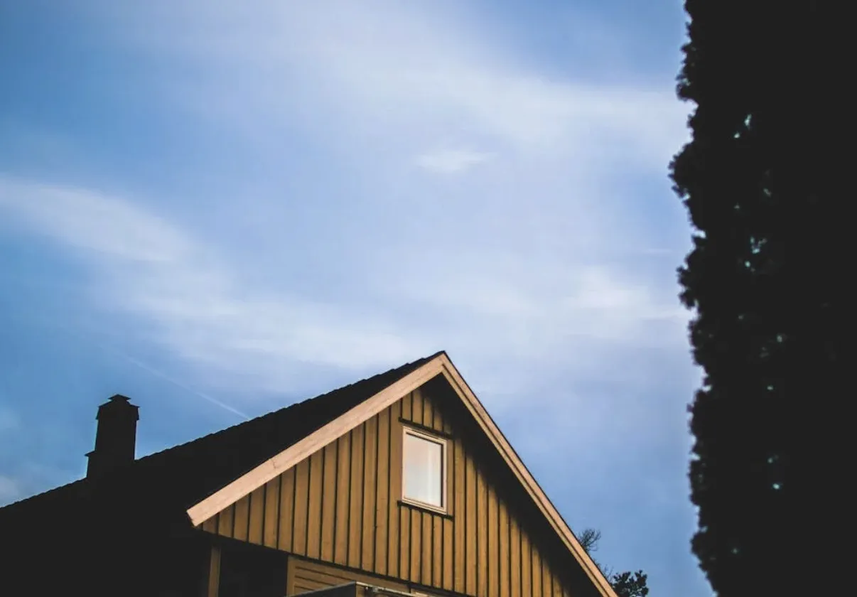 What to Do When You Notice Roof Damage