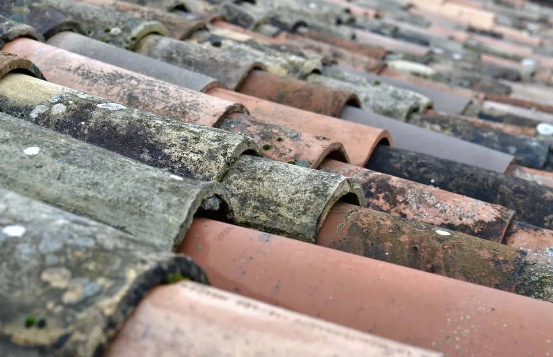 Common Roofing Problems That Can Affect Your Home’s Safety