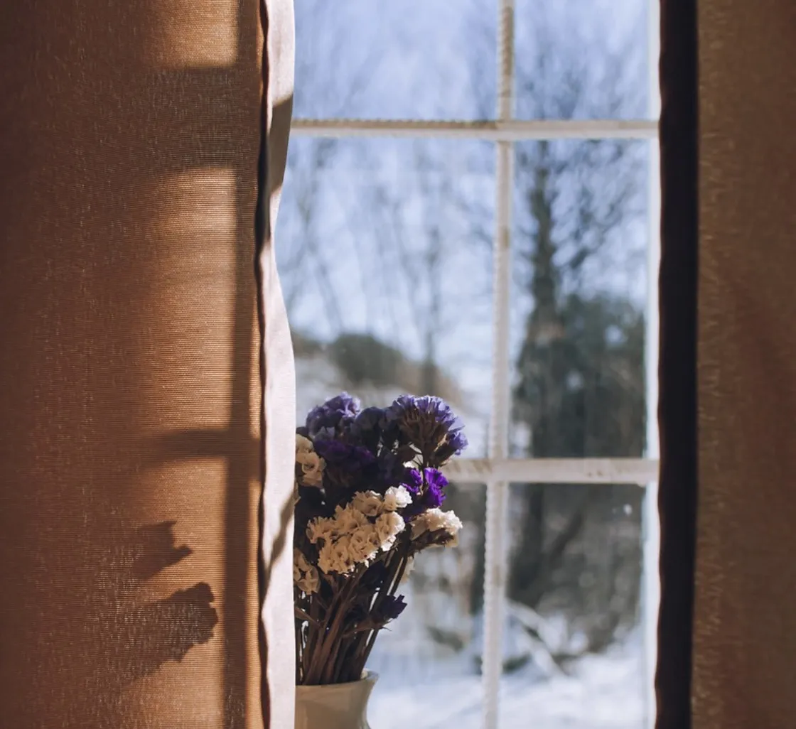 How Modern Technology Is Enhancing Window Performance and Longevity