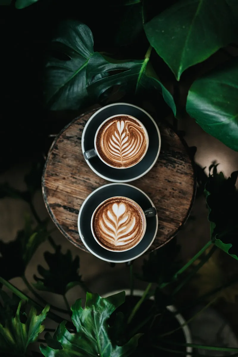 5 Reasons Your Cafe Needs a Reliable Coffee Cup Distributor