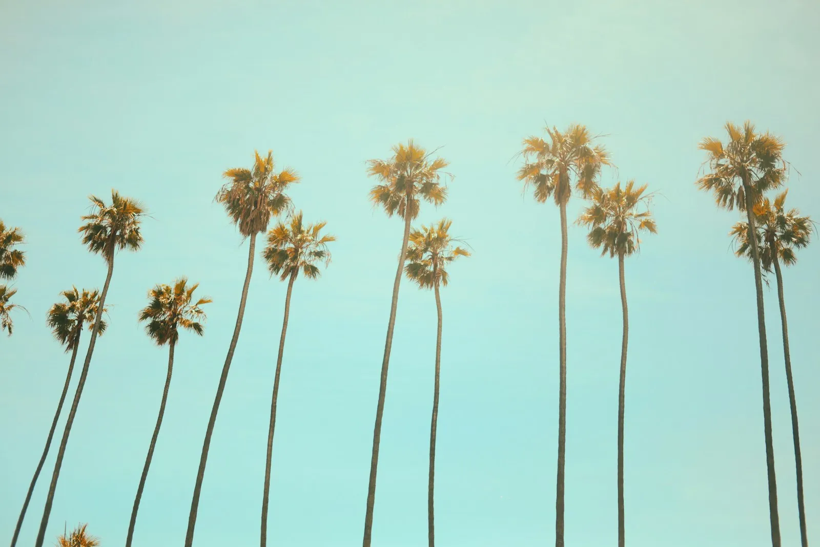 Moving to California? 10 Things to Know Before You Pack Your Bags