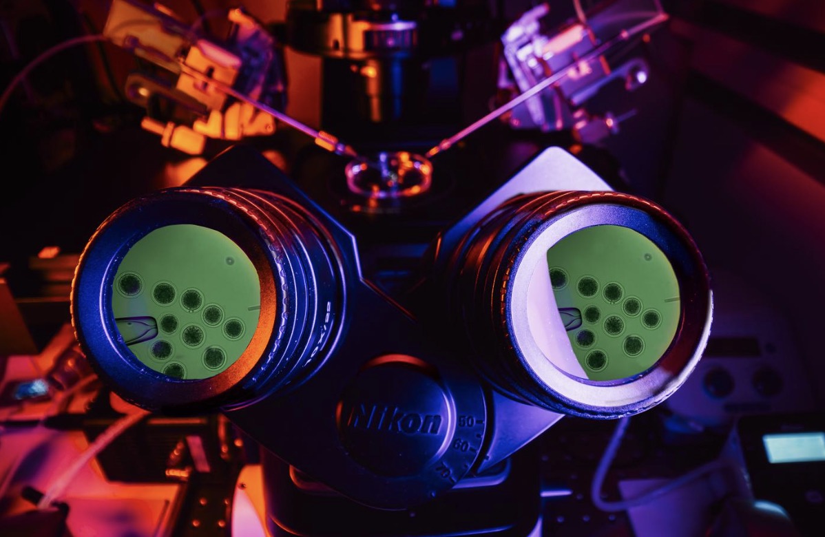 Conservation Gets a Lifeline: Colossal Foundation’s Species Reintroduction Fund Takes Flight