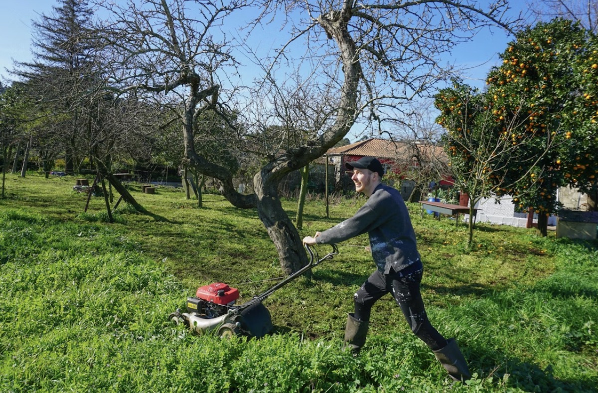 Matching Belts to Your Lawn Mower Model