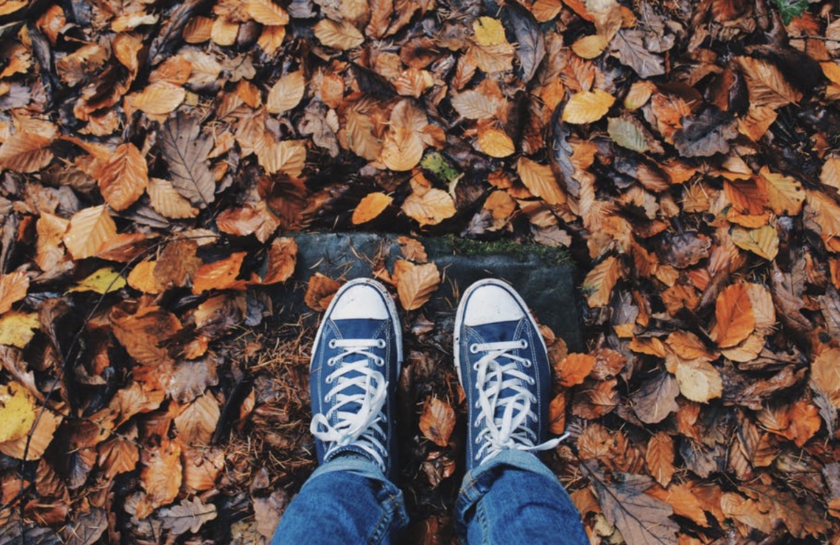 Essential Yard Maintenance Tasks You Should Never Skip