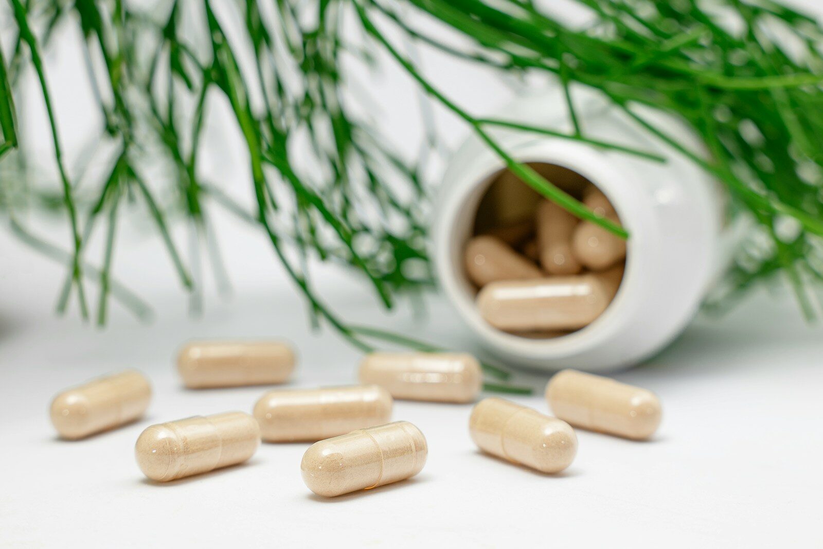 The Supplements People Ignore That Could Quietly Transform Everyday Health