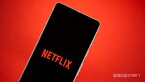 Netflix Ordered to Refund Italian Subscribers for Price Hikes